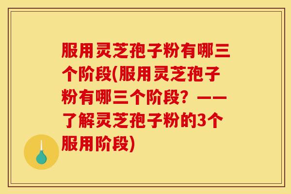 服用灵芝孢子粉有哪三个阶段(服用灵芝孢子粉有哪三个阶段?——了解灵芝孢子粉的3个服用阶段)
