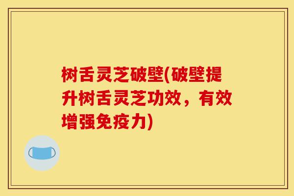 树舌灵芝破壁(破壁提升树舌灵芝功效,有效增强免疫力)