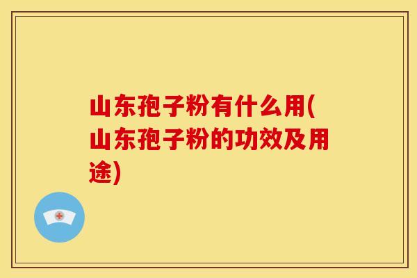山东孢子粉有什么用(山东孢子粉的功效及用途)