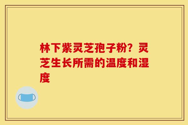 林下紫灵芝孢子粉?灵芝生长所需的温度和湿度