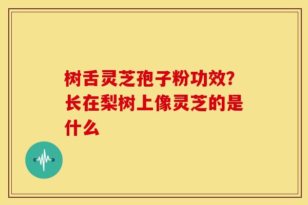 树舌灵芝孢子粉功效?长在梨树上像灵芝的是什么