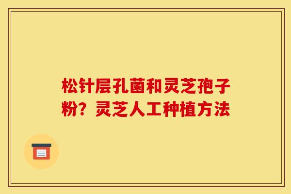 松针层孔菌和灵芝孢子粉？灵芝人工种植方法