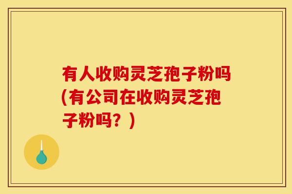 有人收购灵芝孢子粉吗(有公司在收购灵芝孢子粉吗?)