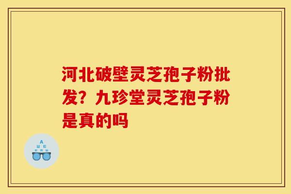 河北破壁灵芝孢子粉批发？九珍堂灵芝孢子粉是真的吗