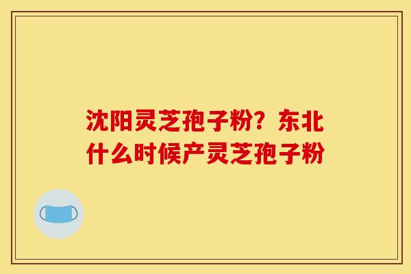 沈阳灵芝孢子粉？东北什么时候产灵芝孢子粉