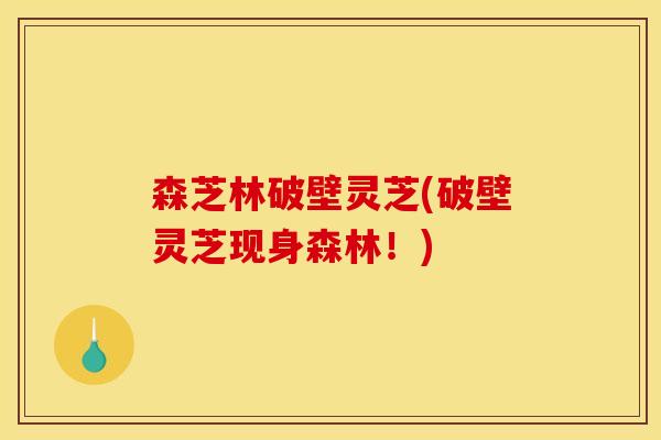 森芝林破壁灵芝(破壁灵芝现身森林!)