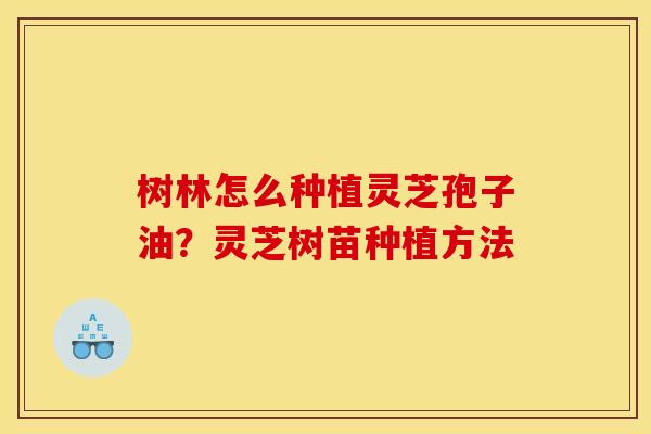 树林怎么种植灵芝孢子油?灵芝树苗种植方法