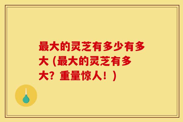 最大的灵芝有多少有多大 (最大的灵芝有多大？重量惊人！)
