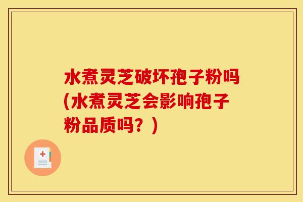 水煮灵芝破坏孢子粉吗(水煮灵芝会影响孢子粉品质吗？)