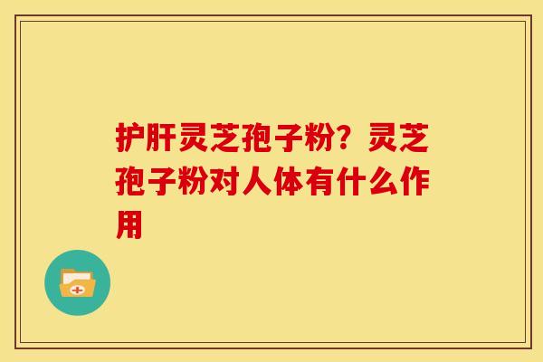 护肝灵芝孢子粉?灵芝孢子粉对人体有什么作用