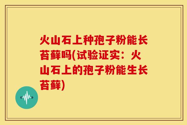 火山石上种孢子粉能长苔藓吗(试验证实:火山石上的孢子粉能生长苔藓)