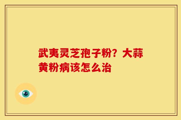 武夷灵芝孢子粉？大蒜黄粉病该怎么治