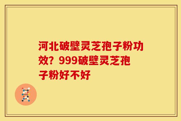 河北破壁灵芝孢子粉功效？999破壁灵芝孢子粉好不好