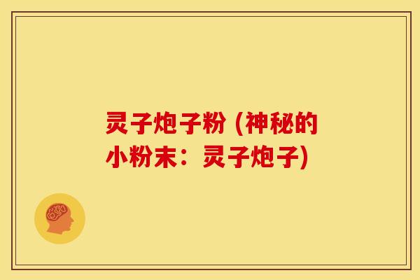 灵子炮子粉 (神秘的小粉末:灵子炮子)