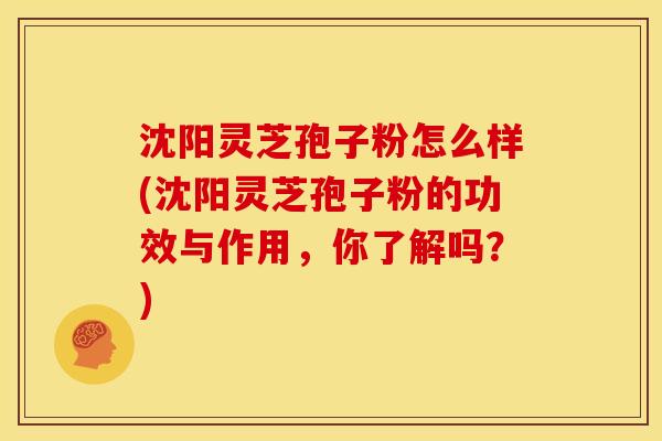 沈阳灵芝孢子粉怎么样(沈阳灵芝孢子粉的功效与作用,你了解吗?)