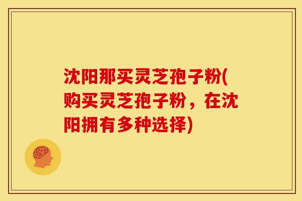 沈阳那买灵芝孢子粉(购买灵芝孢子粉,在沈阳拥有多种选择)