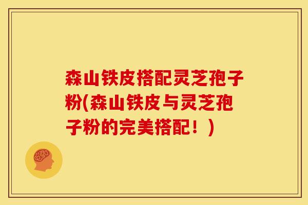 森山铁皮搭配灵芝孢子粉(森山铁皮与灵芝孢子粉的完美搭配!)