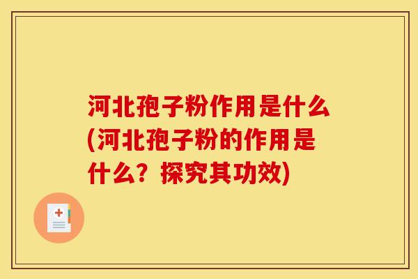 河北孢子粉作用是什么(河北孢子粉的作用是什么？探究其功效)