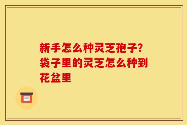 新手怎么种灵芝孢子?袋子里的灵芝怎么种到花盆里