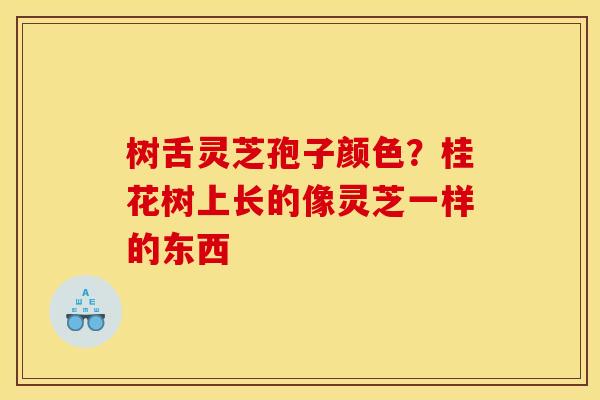 树舌灵芝孢子颜色?桂花树上长的像灵芝一样的东西