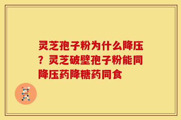 灵芝孢子粉为什么降压？灵芝破壁孢子粉能同降压药降糖药同食