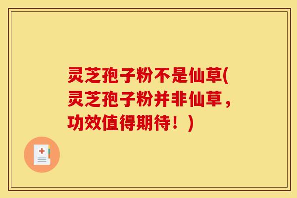 灵芝孢子粉不是仙草(灵芝孢子粉并非仙草,功效值得期待!)