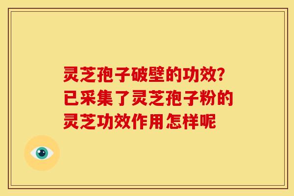 灵芝孢子破壁的功效?已采集了灵芝孢子粉的灵芝功效作用怎样呢