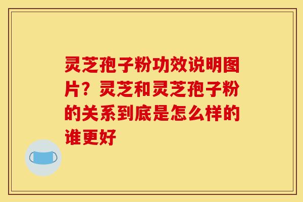 灵芝孢子粉功效说明图片？灵芝和灵芝孢子粉的关系到底是怎么样的谁更好