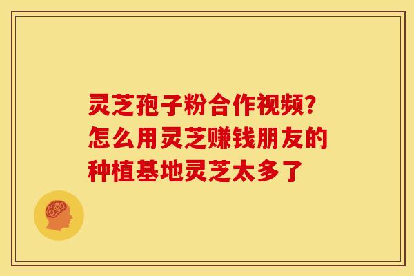 灵芝孢子粉合作视频?怎么用灵芝赚钱朋友的种植基地灵芝太多了