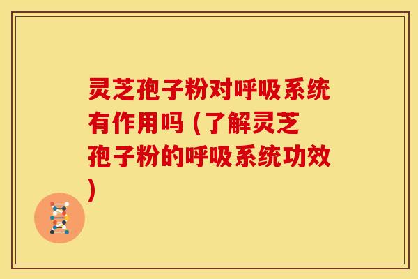 灵芝孢子粉对呼吸系统有作用吗 (了解灵芝孢子粉的呼吸系统功效)