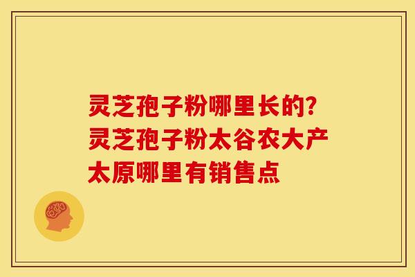 灵芝孢子粉哪里长的?灵芝孢子粉太谷农大产太原哪里有销售点