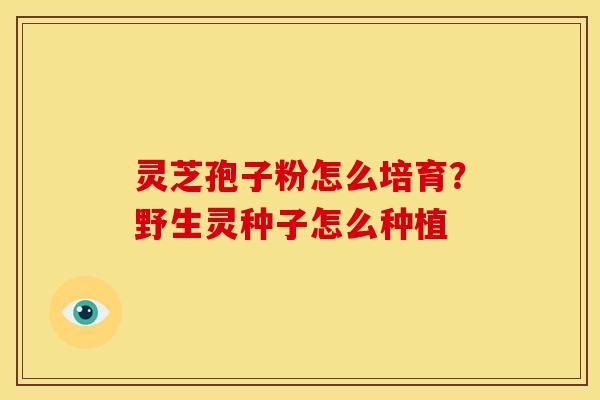 灵芝孢子粉怎么培育？野生灵种子怎么种植