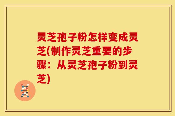 灵芝孢子粉怎样变成灵芝(制作灵芝重要的步骤:从灵芝孢子粉到灵芝)