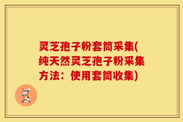 灵芝孢子粉套筒采集(纯天然灵芝孢子粉采集方法:使用套筒收集)