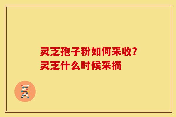 灵芝孢子粉如何采收?灵芝什么时候采摘