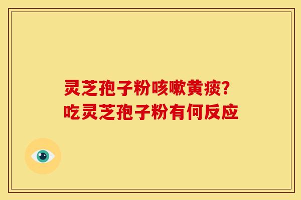 灵芝孢子粉咳嗽黄痰?吃灵芝孢子粉有何反应