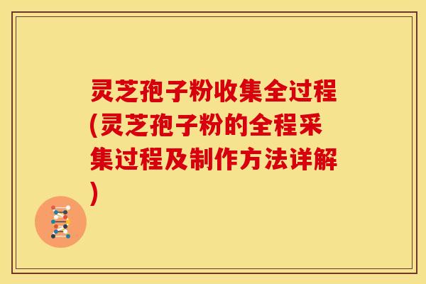 灵芝孢子粉收集全过程(灵芝孢子粉的全程采集过程及制作方法详解)