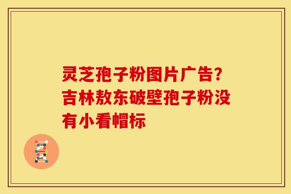 灵芝孢子粉图片广告？吉林敖东破壁孢子粉没有小看帽标