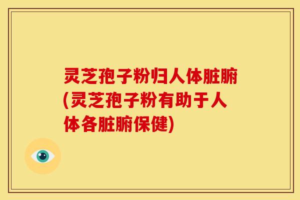 灵芝孢子粉归人体脏腑(灵芝孢子粉有助于人体各脏腑保健)