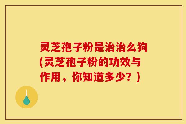 灵芝孢子粉是治治么狗(灵芝孢子粉的功效与作用,你知道多少?)