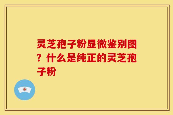 灵芝孢子粉显微鉴别图?什么是纯正的灵芝孢子粉