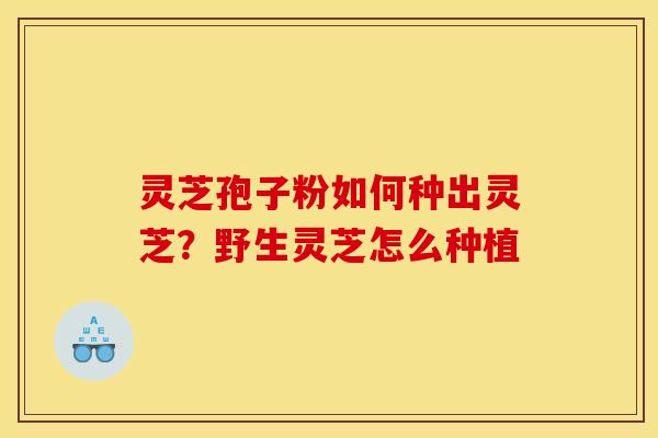 灵芝孢子粉如何种出灵芝?野生灵芝怎么种植