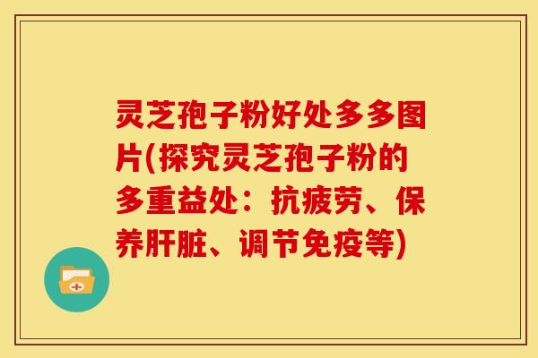 灵芝孢子粉好处多多图片(探究灵芝孢子粉的多重益处:抗疲劳、保养肝脏、调节免疫等)