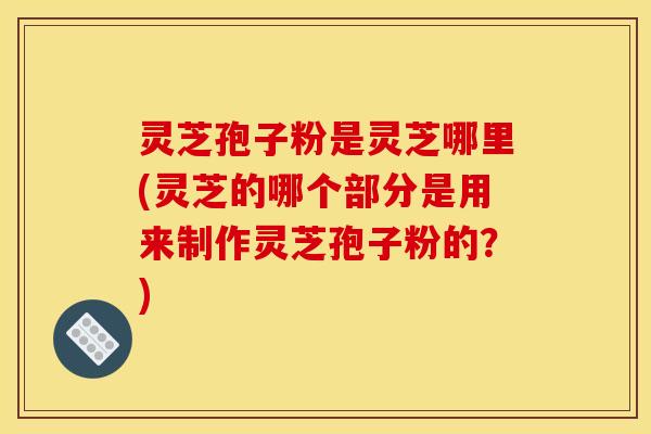 灵芝孢子粉是灵芝哪里(灵芝的哪个部分是用来制作灵芝孢子粉的?)