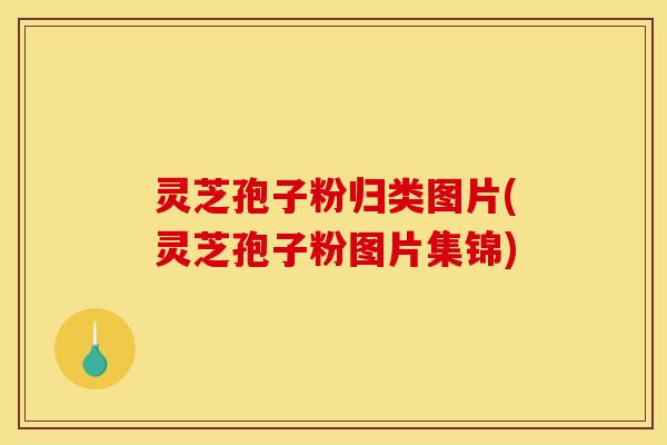 灵芝孢子粉归类图片(灵芝孢子粉图片集锦)