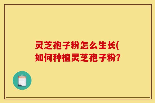 灵芝孢子粉怎么生长(如何种植灵芝孢子粉?