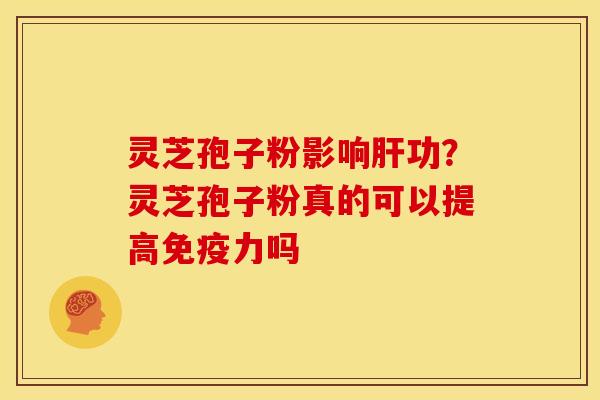 灵芝孢子粉影响肝功?灵芝孢子粉真的可以提高免疫力吗
