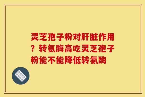 灵芝孢子粉对肝脏作用?转氨酶高吃灵芝孢子粉能不能降低转氨酶