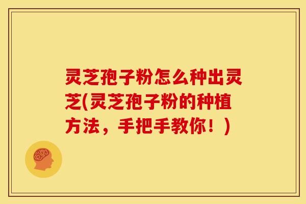 灵芝孢子粉怎么种出灵芝(灵芝孢子粉的种植方法，手把手教你！)