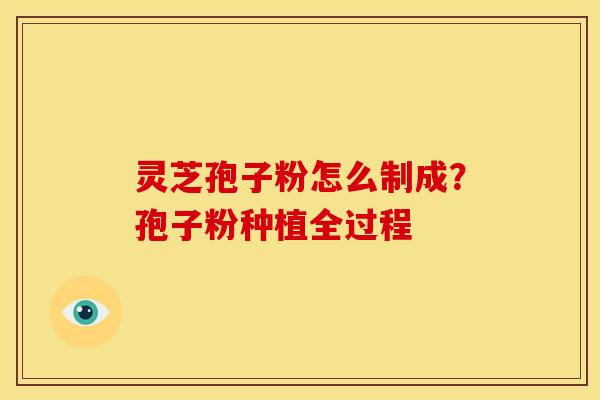 灵芝孢子粉怎么制成？孢子粉种植全过程